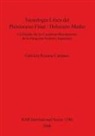 Gabriela Roxana Cattáneo - Tecnología Lítica del Pleistoceno Fina l/ Holoceno Medio