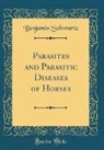 Benjamin Schwartz - Parasites and Parasitic Diseases of Horses (Classic Reprint)