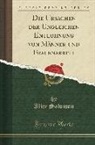 Alice Salomon - Die Ursachen der Ungleichen Entlohnung von Männer und Frauenarbeit (Classic Reprint)