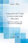 Sophus Lie - Vorlesungen Über Continuierliche Gruppen: Mit Geometrischen Und Anderen Anwendungen (Classic Reprint)