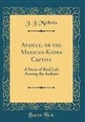 J. J. Methvin - Andele, or the Mexican-Kiowa Captive