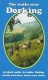 Bill Andrews - The Walks near Dorking