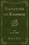 E. G. Hull - Vignettes of Kashmir (Classic Reprint)
