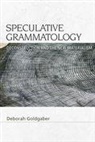 Deborah Goldgaber, GOLDGABER DEBORAH - Speculative Grammatology
