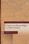 Jean Allain, Dr Ting Allain Xu, Ting Xu, Ting Allain Xu, Jean Allain, Professor Jean Allain... - Property and Human Rights in a Global Context