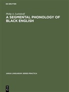 Philip A Luelsdorff, Philip A. Luelsdorff - A segmental phonology of black English