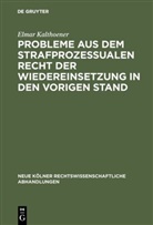 Elmar Kalthoener - Probleme aus dem strafprozessualen Recht der Wiedereinsetzung in den vorigen Stand