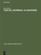 Brent Berlin - Tzeltal numeral classifiers