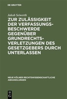 Jakob Seiwerth - Zur Zulässigkeit der Verfassungsbeschwerde gegenüber Grundrechtsverletzungen des Gesetzgebers durch Unterlassen