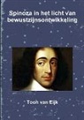 Toon van Eijk - Spinoza in Het Licht Van Bewustzijnsontwikkeling