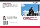 Vidal Sixto Aramburú Rojas - Recuperación de Oro de Minerales Sulfurados de baja Ley