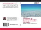 Osvaldo Herreros - Lixiviación de especies sulfuradas de cobre en medios clorurados