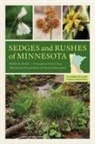 Welby R Smith, Welby R. Smith, Welby R./ Haug Smith, Richard Haug - Sedges and Rushes of Minnesota