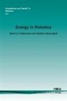 Gerrit A. Folkertsma, Stefano Stramigioli - Energy in Robotics