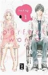 Rie Aruga - Perfect World. Bd.1