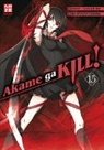Takahiro, Tetsuya Tashiro - Akame ga KILL!. Bd.15