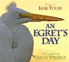 Jason Stemple, Jane Yolen - An Egret's Day