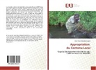 Jean-Claude Bakatunyingela - Appropriation du Contenu Local