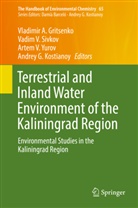 Vladimir A. Gritsenko, Andrey G. Kostianoy, Vadim V. Sivkov, Vadi V Sivkov, Vadim V Sivkov, Artem V Yurov et al... - The Handbook of Environmental Chemistry - 65: Terrestrial and Inland Water Environment of the Kaliningrad Region