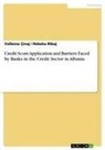 Valbon Çinaj, Valbona Çinaj, Rebeka Ribaj - Credit Score Application and Barriers Faced by Banks in the Credit Sector in Albania