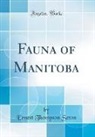 Ernest Thompson Seton - Fauna of Manitoba (Classic Reprint)
