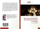 Évrard Aurèle Ondobo Nkusa - Enjeux de l'incorporation de la RSE dans le secteur de l'énergie