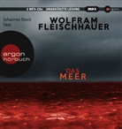 Wolfram Fleischhauer, Johannes Steck - Das Meer, 2 Audio-CD, 2 MP3 (Audio book)