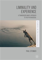 Paul Stenner - Liminality and Experience
