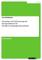 Lars Steilmann - Potentiale zur Verbesserung der Energieeffizienz bei Energieversorgungsunternehmen