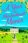 Faith Bleasdale, Bleasdale Faith - A Year at Meadowbrook Manor