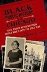 Ian Rocksborough-Smith - Black Public History in Chicago
