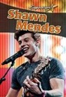 Robin Johnson - Shawn Mendes