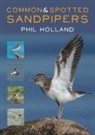 Phil Holland - Common and Spotted Sandpipers