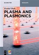Kushal Shah, Ane Books Pvt. Ltd. - Plasma and Plasmonics