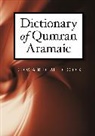 Edward C. Cook, Edward M Cook, Edward M. Cook - Dictionary of Qumran Aramaic