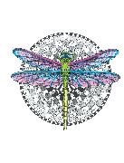 Ben Kwok,  Kwok Ben - Tangleeasy Guided Journal Dragonfly