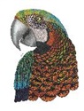 Ben Kwok, Kwok Ben - Tangleeasy Lined Journal Parrot