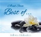Arnd Stein - Best of Wellness & Relaxation, 1 Audio-CD (Hörbuch)