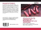Adalbert Aguila, Adalberto Aguila, Enis Díaz, Ariadn Rodríguez, Ariadna Rodríguez - Determinación de patotipos de Escherichia coli y su antibiotipo