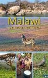Ilona Hupe, Ilona Hupe, Ilon Hupe, Ilona Hupe - Malawi