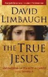 David Limbaugh, Malcolm Hillgartner - The True Jesus: Uncovering the Divinity of Christ in the Gospels (Audio book)