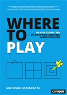 Marc Gruber, Sharon Tal, Jordan T.A. Wegberg - Where to Play