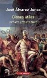 José Álvarez Junco - Dioses útiles : artículos sobre el nacionalismo