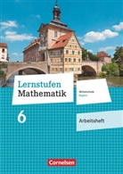 Lernstufen Mathematik, Mittelschule Bayern, Neubearbeitung 2017: Lernstufen Mathematik - Mittelschule Bayern 2017 - 6. Jahrgangsstufe