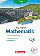 Anton Bigalke, Anton Bigalke, Anton (Dr. Bigalke, Anton (Dr.) Bigalke, Gabriele Ledworuski, Horst Kuschnerow... - Mathematik, Sekundarstufe II, Ausgabe Hessen (Neubearbeitung 2016) - Q3: Bigalke/Köhler: Mathematik - Hessen - Ausgabe 2016 - Leistungskurs 3. Halbjahr