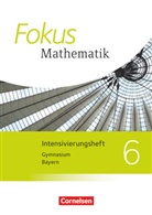 Brigitte Distel, Klaus Schuster - Fokus Mathematik, Gymnasium Bayern 2017: Fokus Mathematik - Bayern - Ausgabe 2017 - 6. Jahrgangsstufe