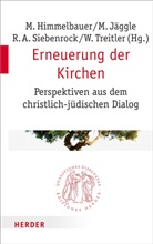 Roman A Siebenrock u a, Markus Himmelbauer, Marti Jäggle, Martin Jäggle, Roman A. Siebenrock, Wolfgang Treitler - Erneuerung der Kirchen