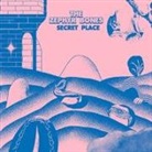 Secret Place (Hörbuch)