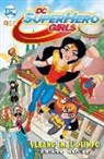 DC Super Hero Girls: Verano en el Olimpo