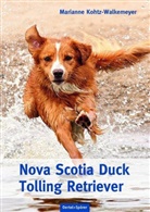 Marianne Kohtz-Walkemeyer - Nova Scotia Duck Tolling Retriever